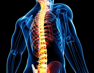 Spine Neurosurgery
